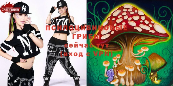 ECSTASY Абаза