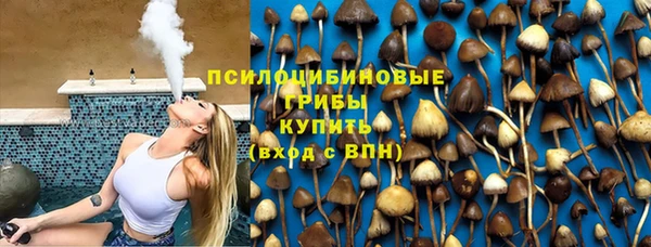 Альфа ПВП Пролетарск