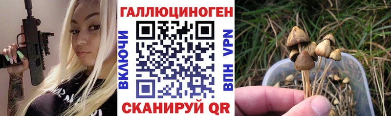 kraken как зайти  Лакинск  Галлюциногенные грибы ЛСД 